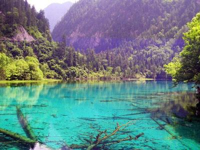 网站栏目设置有什么技巧