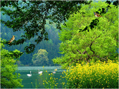 如何提高网站内容质量