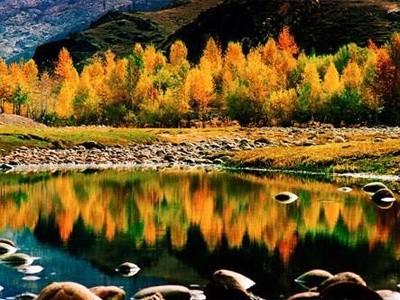 提高网站技能和经验分享