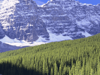 响应网站的设计过程