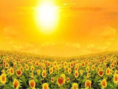 十种有效的长尾关键词挖掘技术