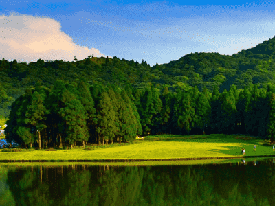 花几分钟学习如何将网站排名提高到首页