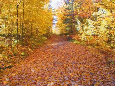 web服务器对SEO优化的影响