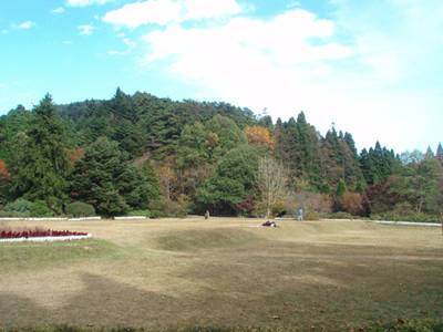 如何在个人博客中做SEO？学会如何写文章很重要