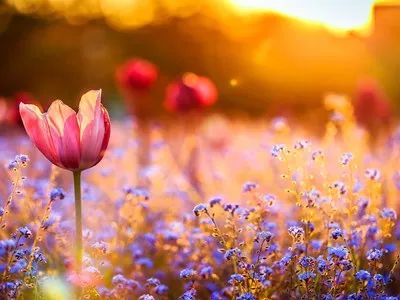 如何解决新网站不收录的问题