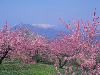 搜骐OEM教您企业网站长尾关键词选择