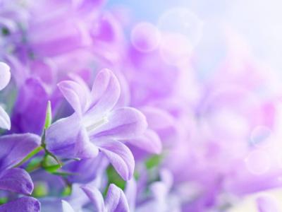 【蜘蛛陷阱】网站优化中应避免的蜘蛛陷阱