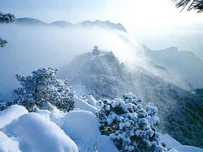 【网络推广新方法】带您了解网络推广策略和方法