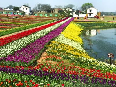 【营销方式】新媒体营销的方式与特点