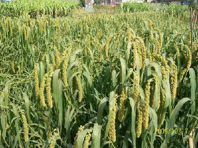 阿里云自定义镜像支持服务器数据/网站的快速迁移