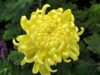 友情链和外链之间谁是重要的？如何交流友情