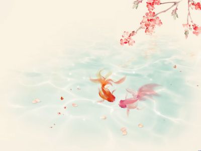 【更新百度快照】如何快速更新百度快照