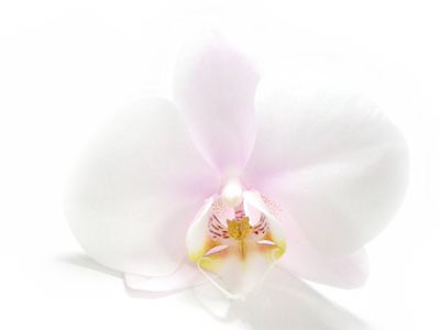 【SEO优化排名】做SEO优化排名要注意这些