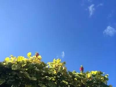 【企业营销型网站建设】如何优化营销网站建设