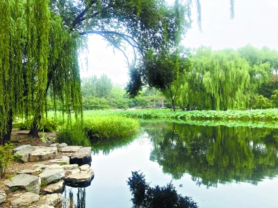 如何充分利用关键词需求挖掘长尾关键词?