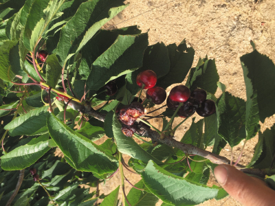 【企业手机网站建设】移动营销网站建设的三个要求