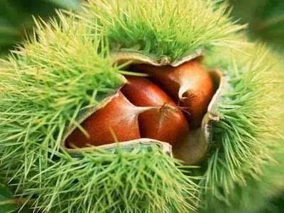 【企业手机网站建设】移动网站建设应注意的问题