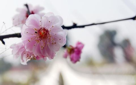 从网站建设到网站的运营维护，应该怎样做？