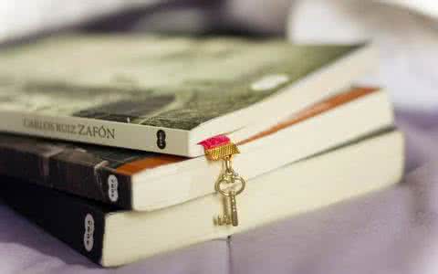 搜骐OEM建站优化公司对建设官网效益分析