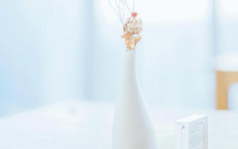 【网站建设公司哪家好】搜骐OEM分享主页的设计制作