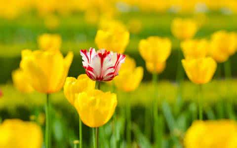 【大型网站建设公司】哪家网站建设公司比较划算？