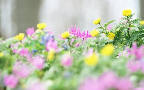 【网站排名】网站快速排名的六种实用方法