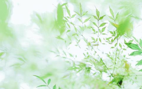 【建设网站公司】如何识别大量建设网站的公司