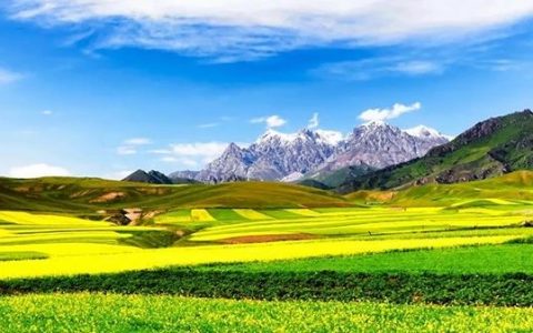 【网站收录】如何解决网站收录率低的问题？