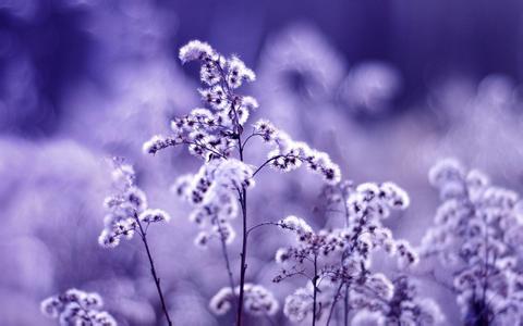 企业网站以模板为支撑，以定制为发展方向